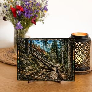 Fallen Trees - Decorative Acrylic Glass Panel - Mythpane authentic